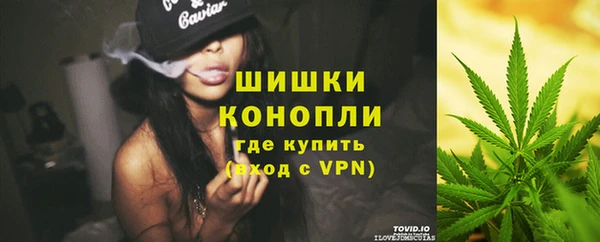 ПСИЛОЦИБИНОВЫЕ ГРИБЫ Нея