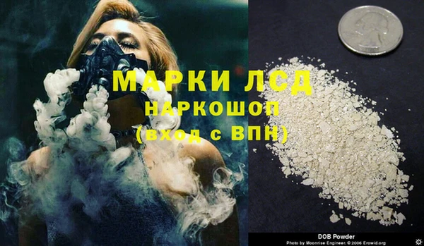 ПСИЛОЦИБИНОВЫЕ ГРИБЫ Нея