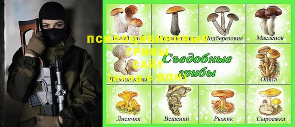 ПСИЛОЦИБИНОВЫЕ ГРИБЫ Нея