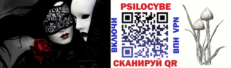наркотики  mega зеркало  Псилоцибиновые грибы GOLDEN TEACHER  Чехов 